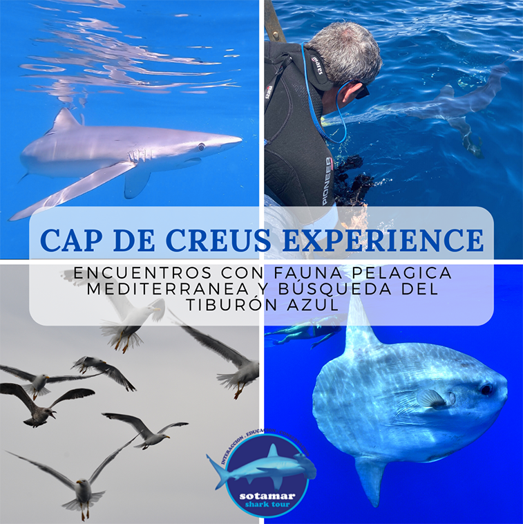CAP DE CREUS EXPERIENCE