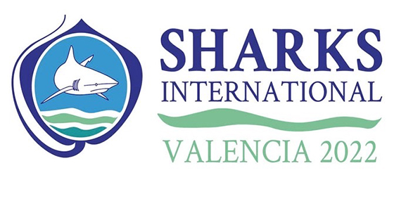 Sharks International Valencia 2022
